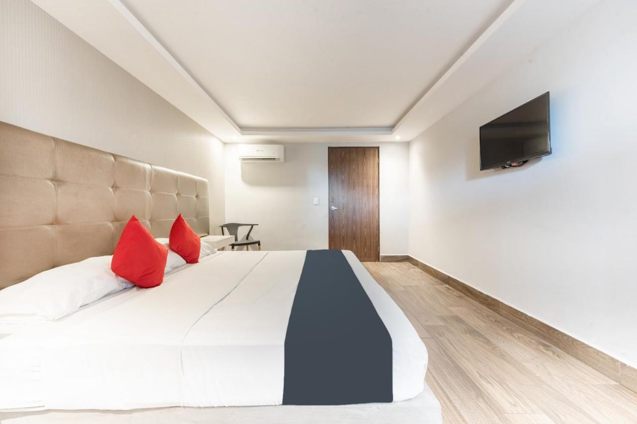 Hotel 202 Monterrey Ngoại thất bức ảnh