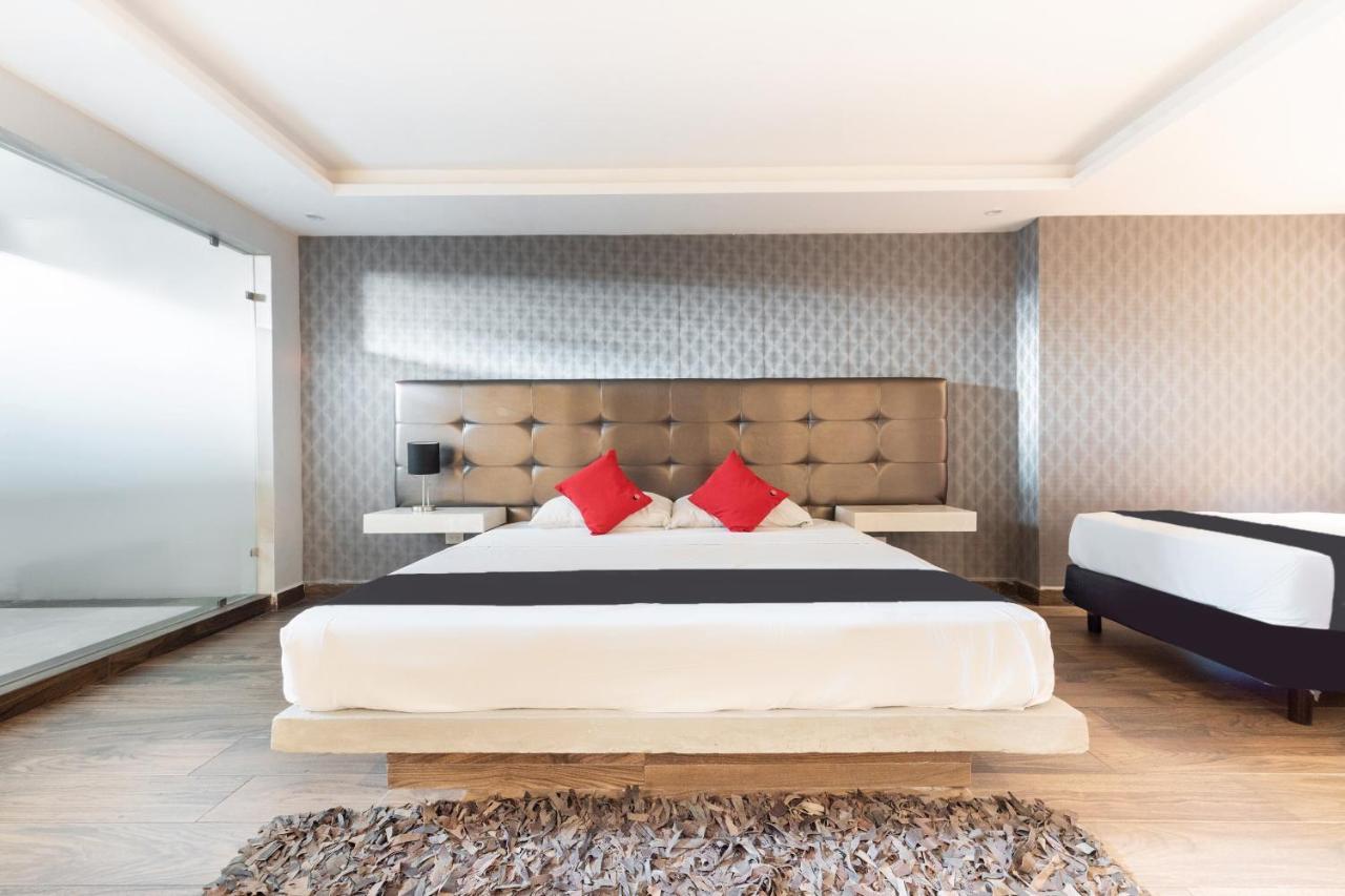 Hotel 202 Monterrey Ngoại thất bức ảnh