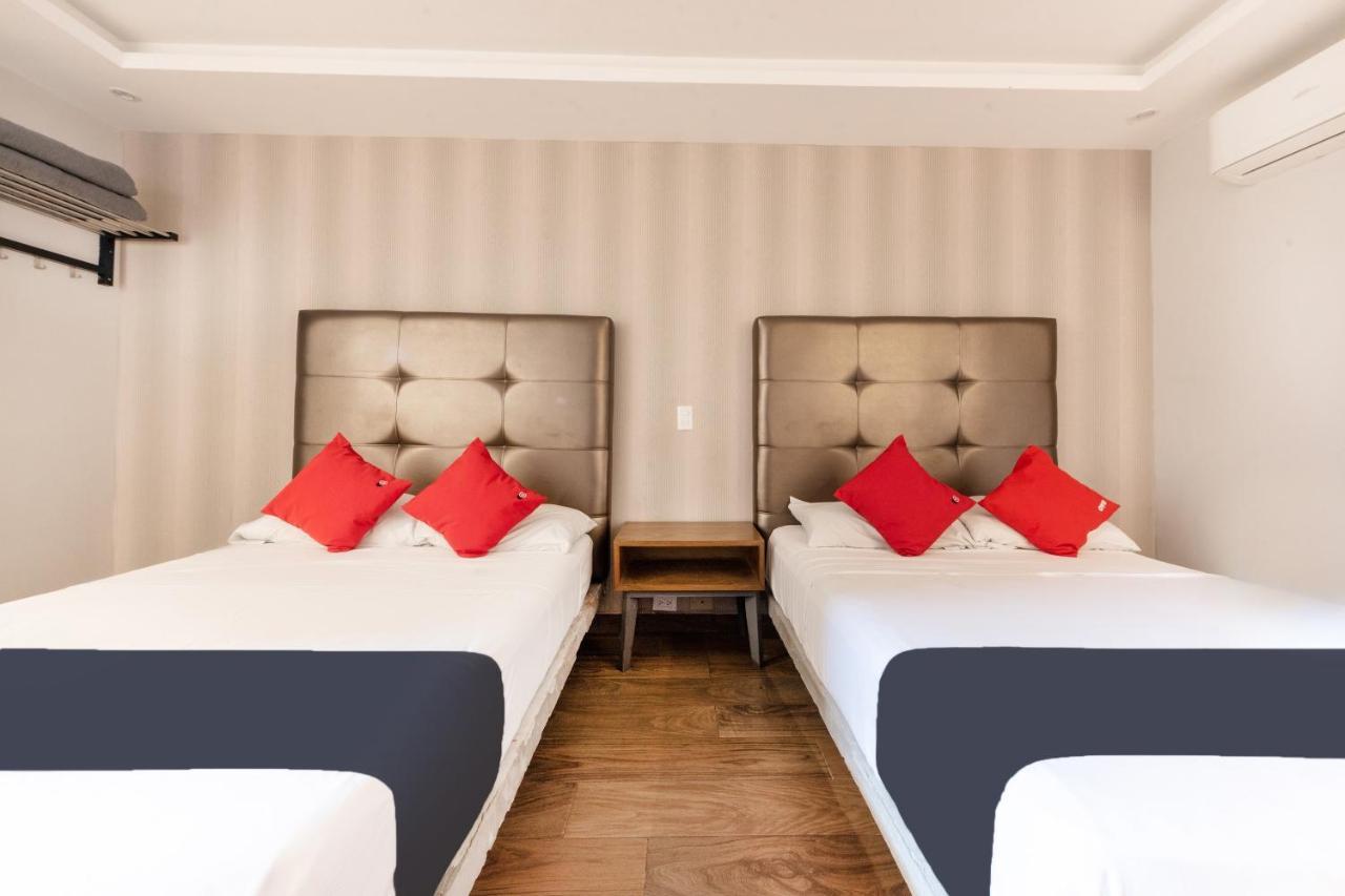Hotel 202 Monterrey Ngoại thất bức ảnh