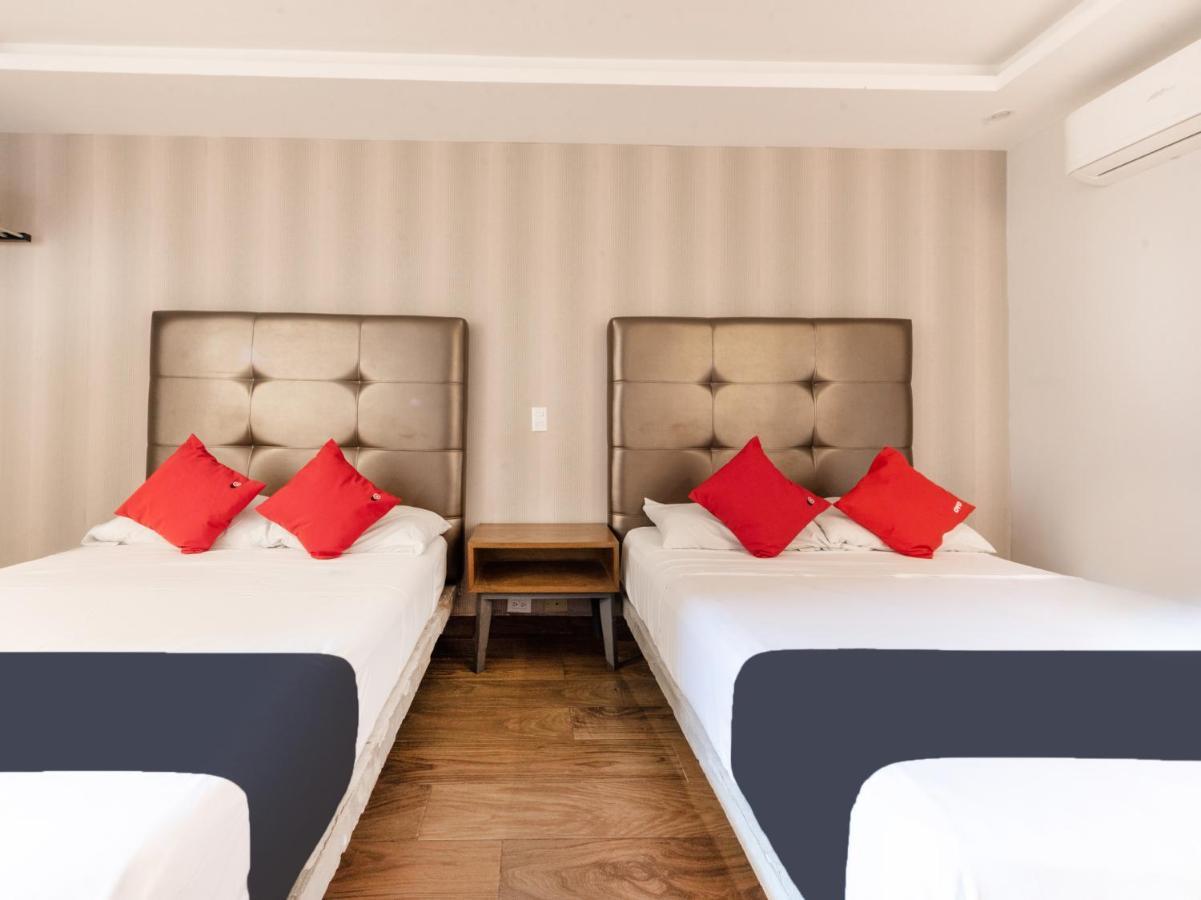 Hotel 202 Monterrey Ngoại thất bức ảnh
