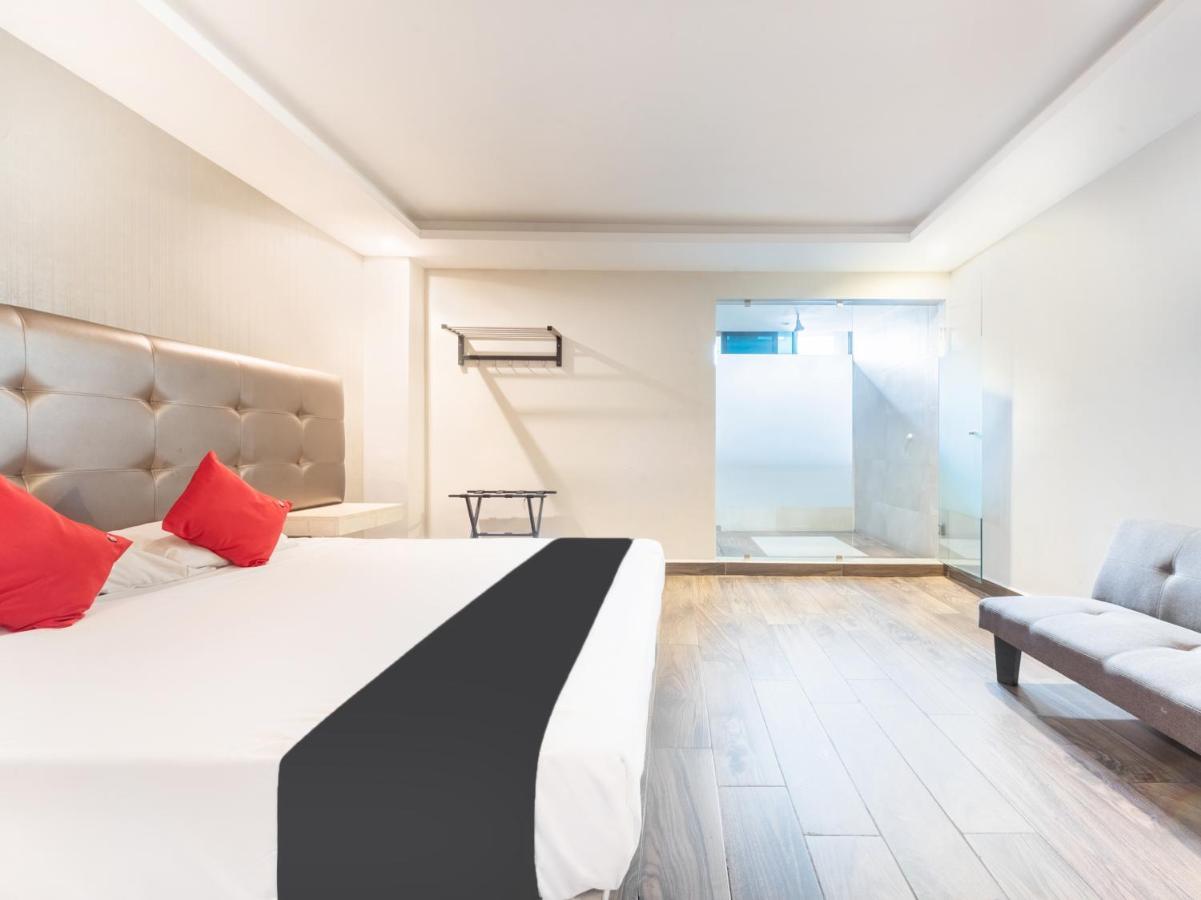 Hotel 202 Monterrey Ngoại thất bức ảnh
