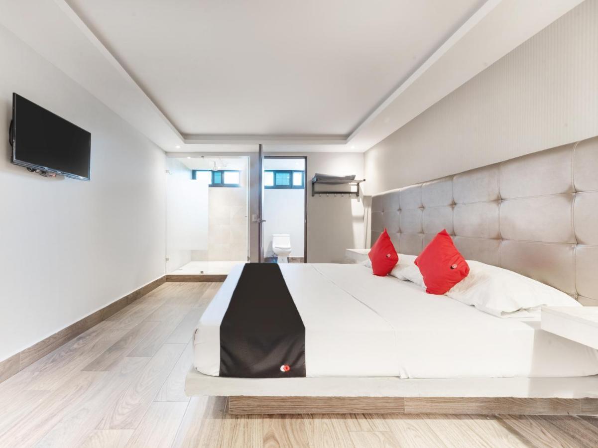 Hotel 202 Monterrey Ngoại thất bức ảnh