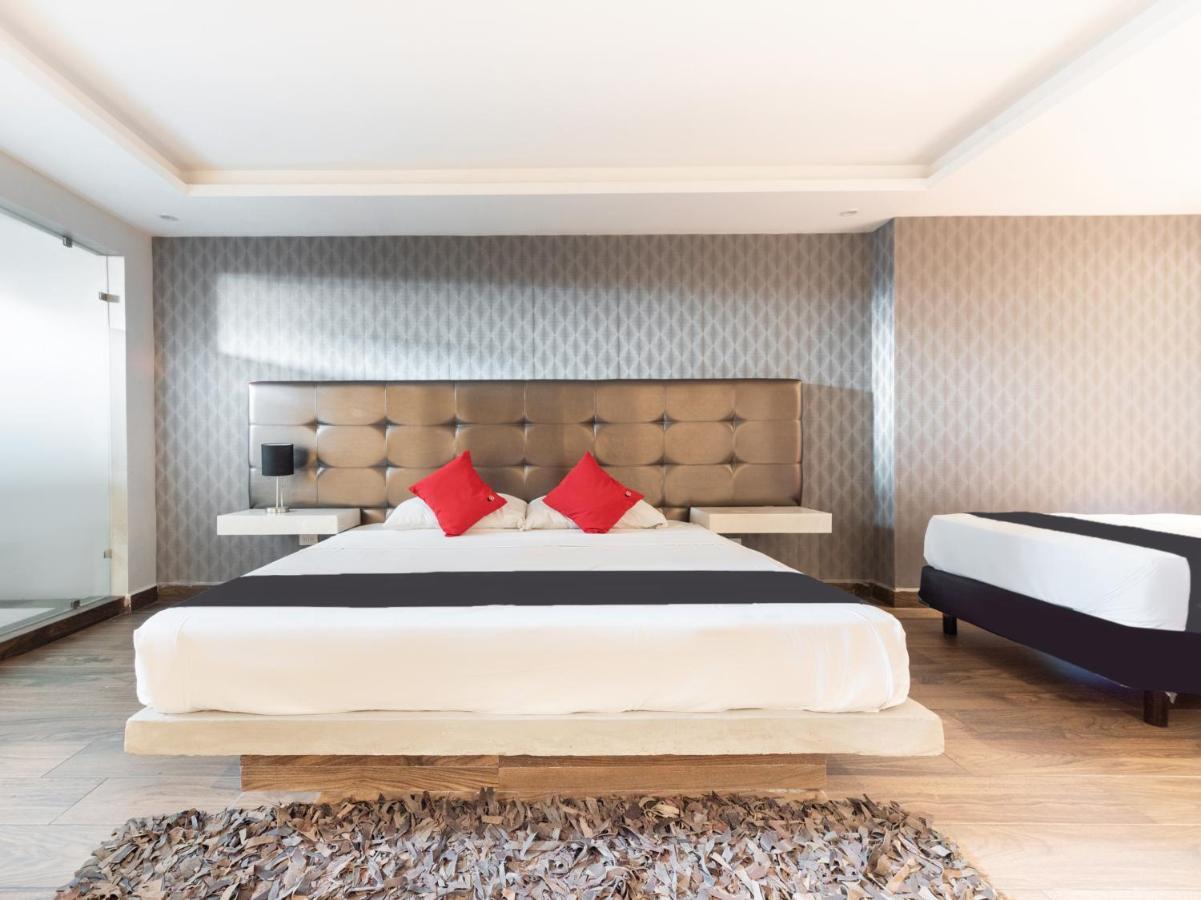 Hotel 202 Monterrey Ngoại thất bức ảnh